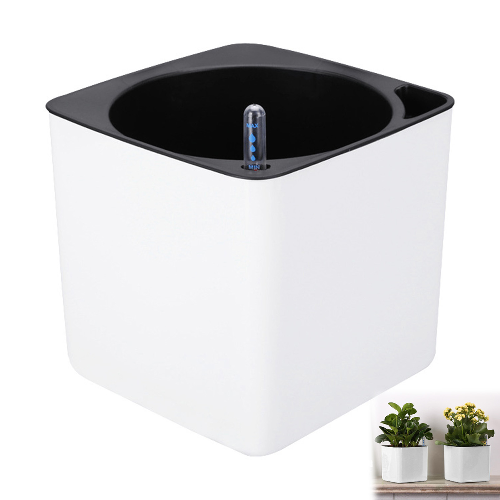 Автоматический самополивающийс – обзор и цена Aloe Vera Pot