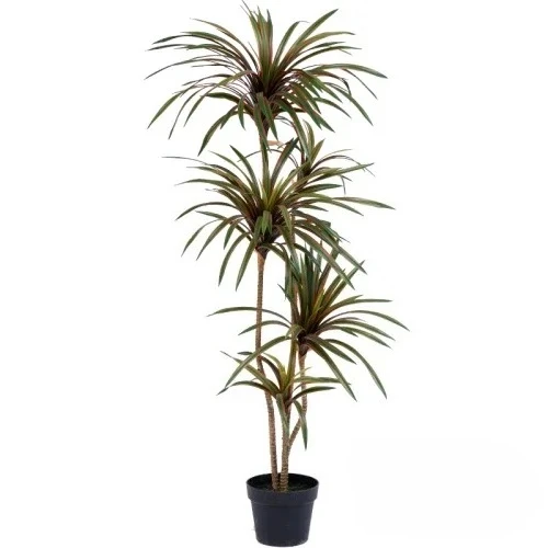Искусственное разноцветное дер – обзор и цена Dracaena Marginata