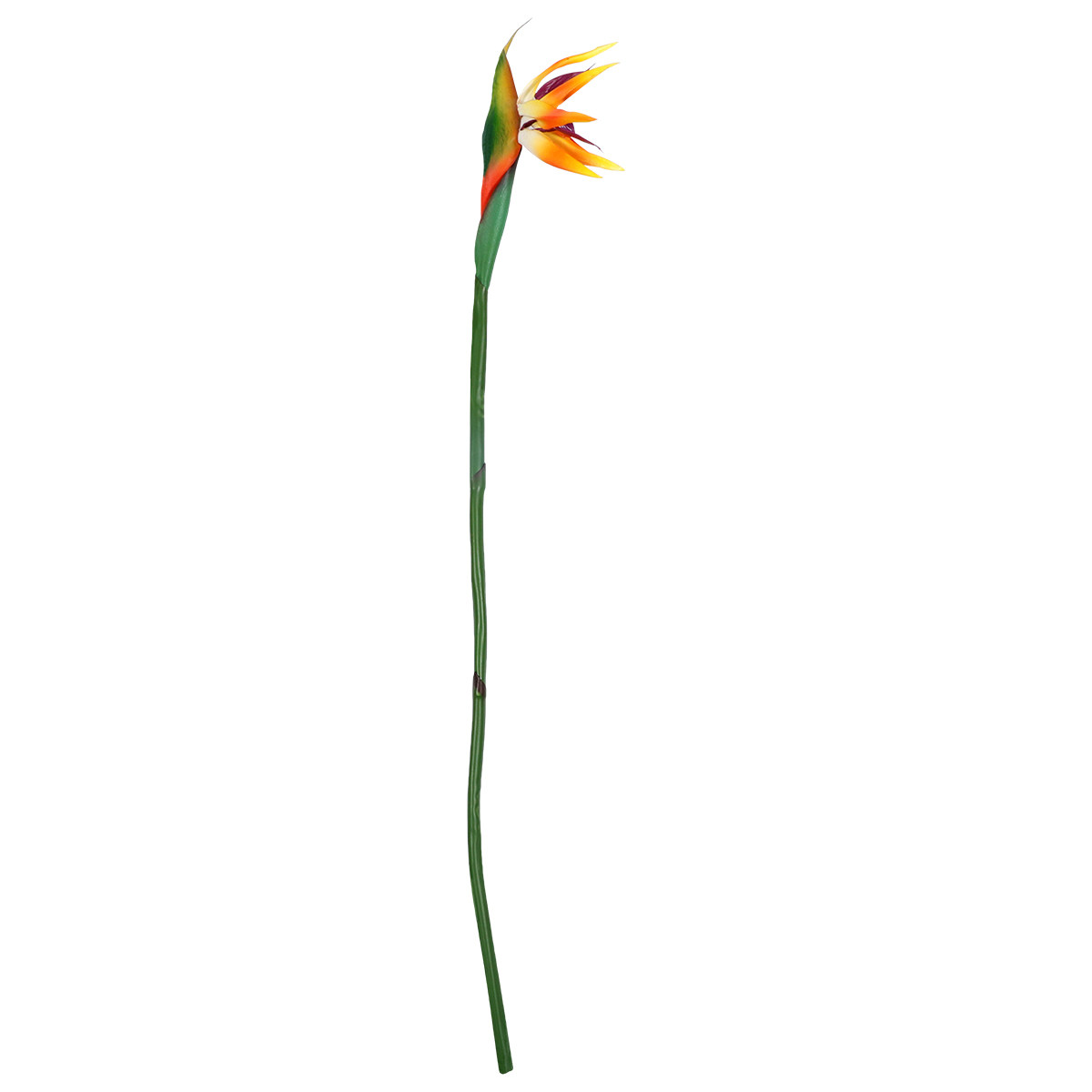 Искусственный цветок стрелиции – обзор и цена Bird Paradise Strelitzia