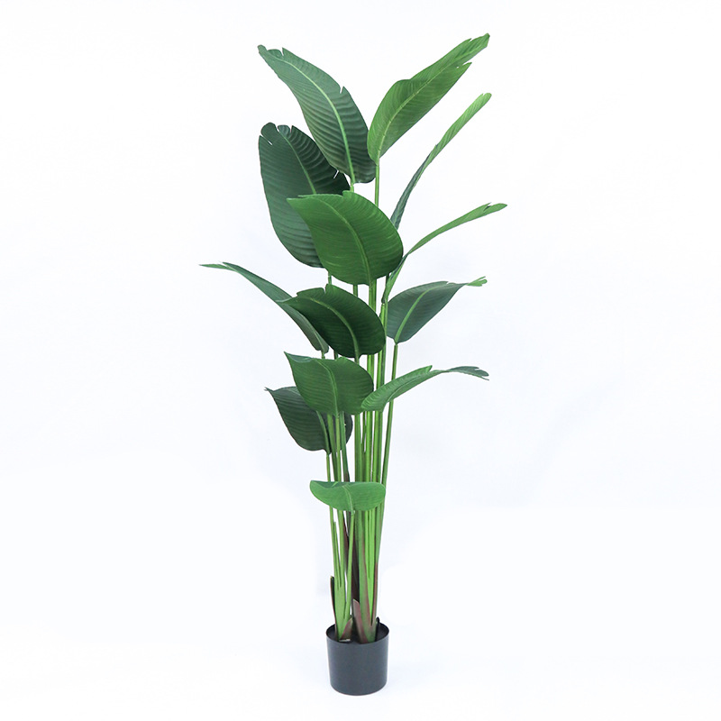 Искусственный пластик в горшке – обзор и цена Bird Paradise Strelitzia