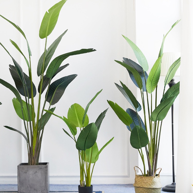 Искусственный пластик в горшке – обзор и цена Bird Paradise Strelitzia