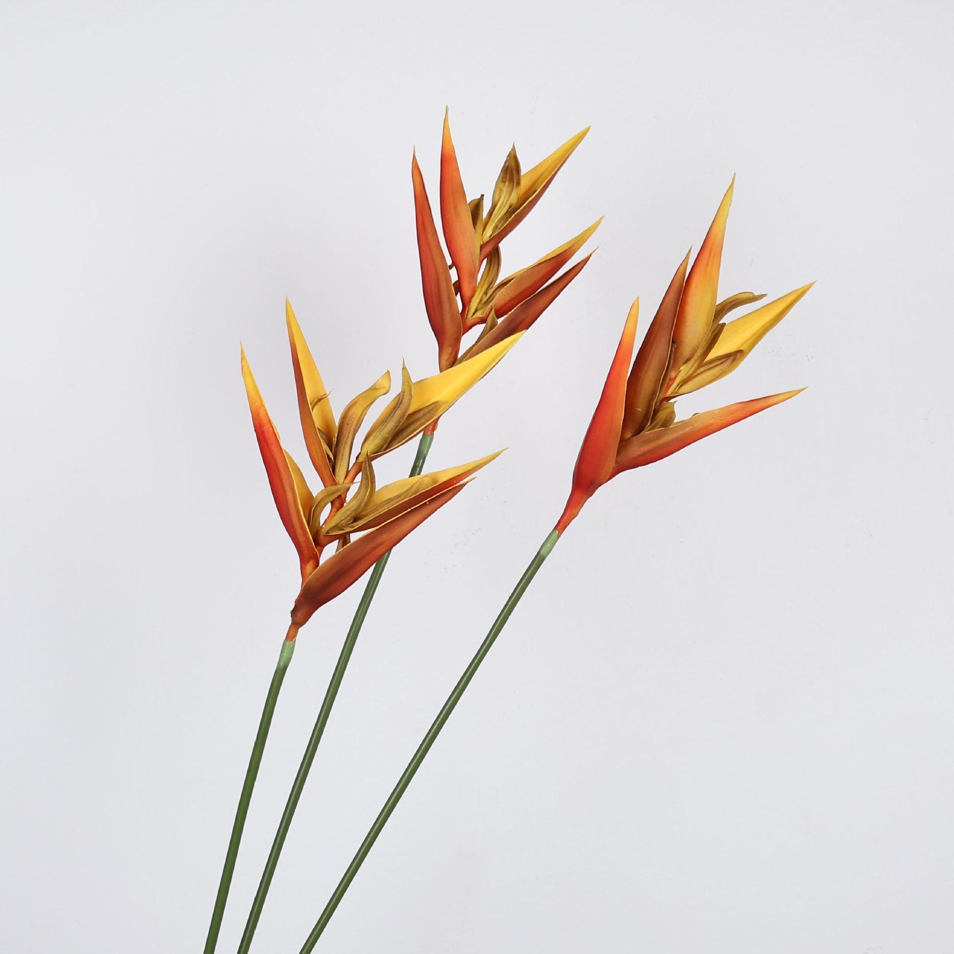 36,6-дюймовая искусственная ра – обзор и цена Bird Paradise Strelitzia