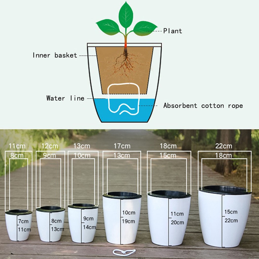 Горшок для цветов с автоматиче – обзор и цена Aloe Vera Pot