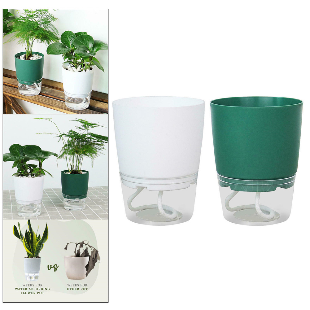 Автоматический гидропонный цве – обзор и цена Aloe Vera Pot